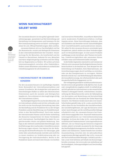 Thumbnail Grammer AG ESG Report 2017