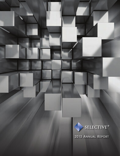 Thumbnail Selective Insurance Annual Report 2013