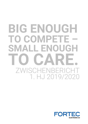 Miniature FORTEC Elektronik AG Rapport semestriel 2019-h1