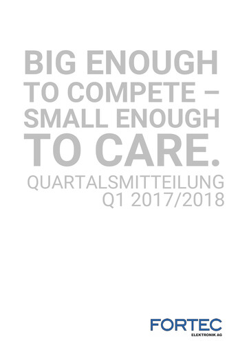 Miniature FORTEC Elektronik AG Rapport trimestriel 2017-q1