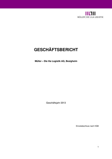 Thumbnail Müller - Die lila Logistik Financial Statement 2013