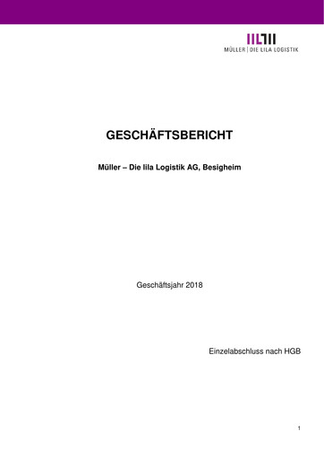 Thumbnail Müller - Die lila Logistik Financial Statement 2018
