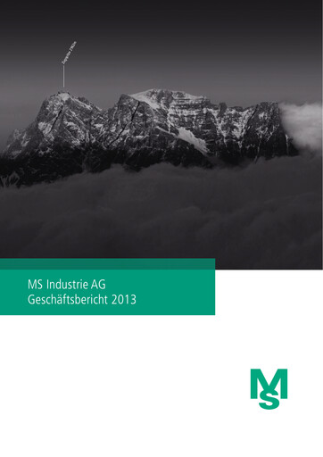 Thumbnail MS Industrie Annual Report 2013