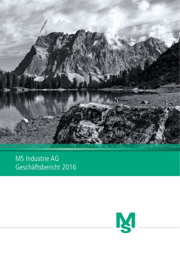 Thumbnail MS Industrie Annual Report 2016