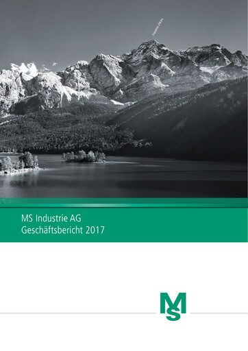 Thumbnail MS Industrie Annual Report 2017