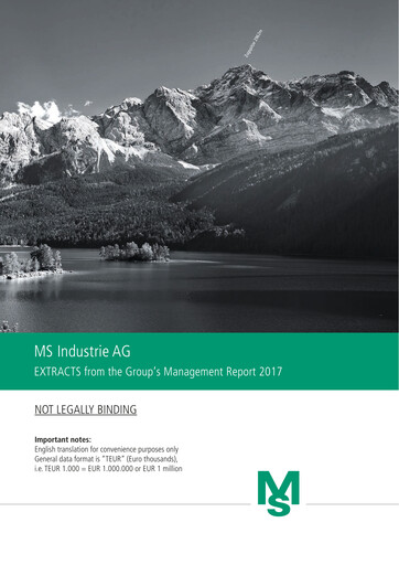 Thumbnail MS Industrie Annual Report 2017