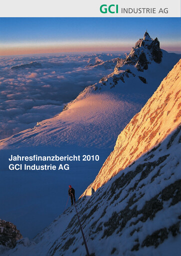 Thumbnail MS Industrie Financial Statement 2010