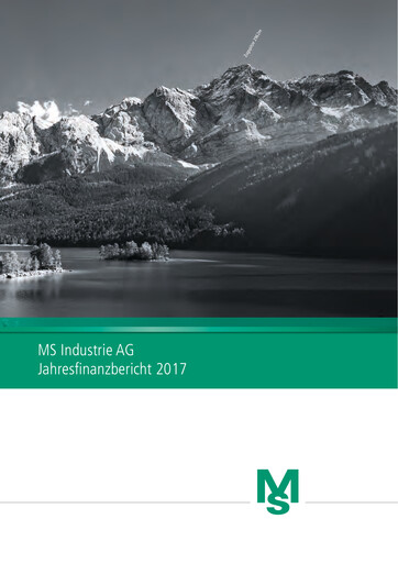Thumbnail MS Industrie Financial Statement 2017