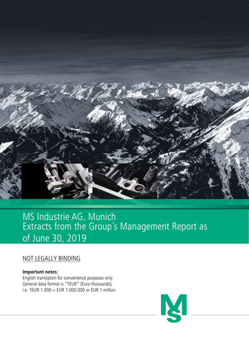 Miniature MS Industrie Rapport semestriel 2019-h1
