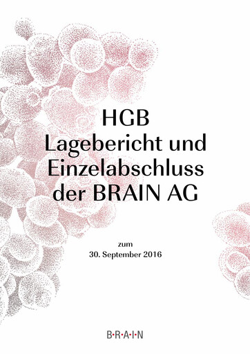 Thumbnail BRAIN Biotech Financial Statement 2015-2016