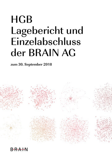 Thumbnail BRAIN Biotech Financial Statement 2017-2018