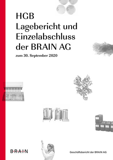 Thumbnail BRAIN Biotech Financial Statement 2019-2020