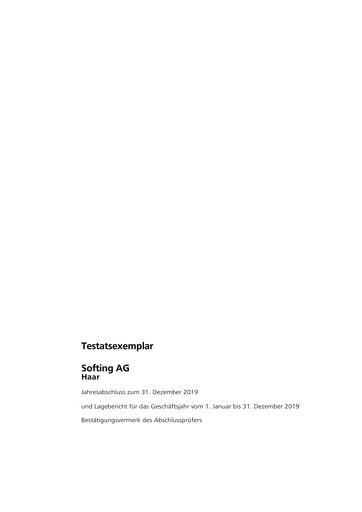 Thumbnail Softing AG Financial Statement 2019