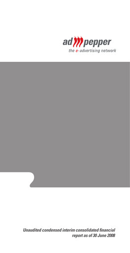 Miniature ad pepper media International Bilan financier 2008-h1