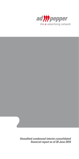 Miniature ad pepper media International Bilan financier 2010-h1