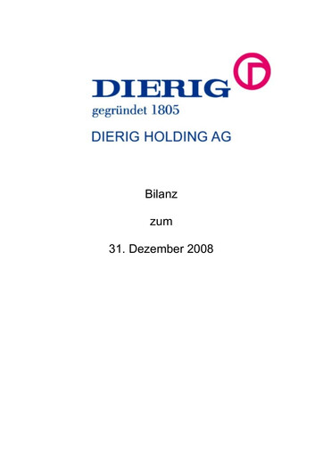 Thumbnail Dierig Holding AG Financial Statement 2008