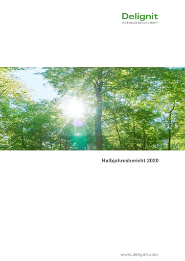 Miniature Delignit AG Rapport semestriel 2020-h1