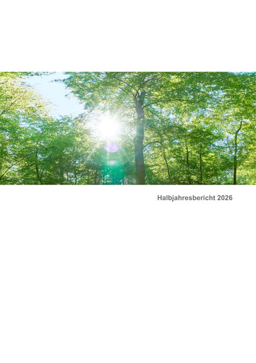 Thumbnail Delignit AG Half-year Report 2026-h1