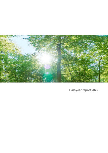 Miniature Delignit AG Rapport semestriel 2025-h1