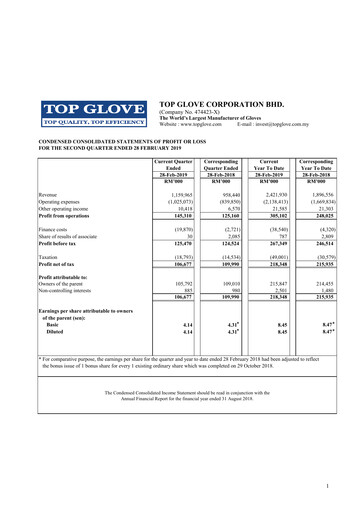 Vorschaubild Top Glove Quartalsbericht 2019-q2