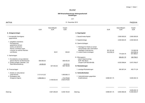 Thumbnail SM Wirtschaftsberatungs AG Financial Statement 2015