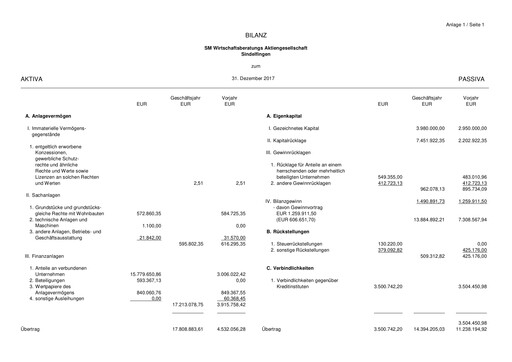Thumbnail SM Wirtschaftsberatungs AG Financial Statement 2017
