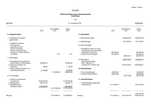 Thumbnail SM Wirtschaftsberatungs AG Financial Statement 2018