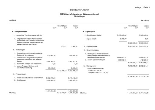 Thumbnail SM Wirtschaftsberatungs AG Financial Statement 2025