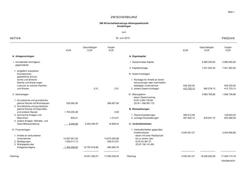 Thumbnail SM Wirtschaftsberatungs AG Half-year Report 2019-h1