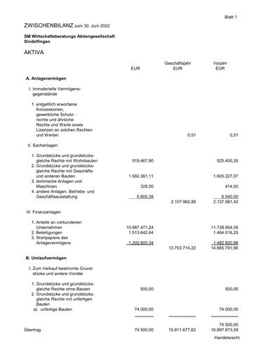 Thumbnail SM Wirtschaftsberatungs AG Half-year Report 2022-h1