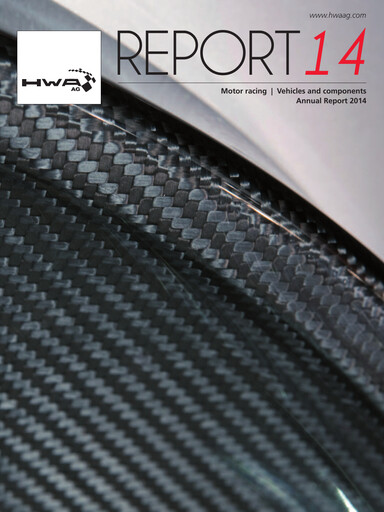 Miniature HWA AG Rapport annuel 2014