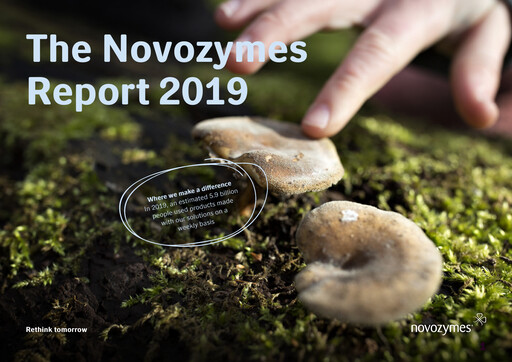 Thumbnail Novonesis Annual Report 2019
