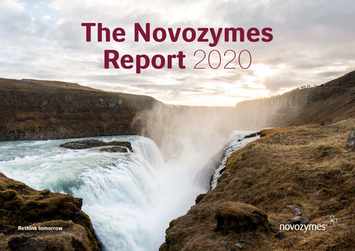 Thumbnail Novonesis Annual Report 2020