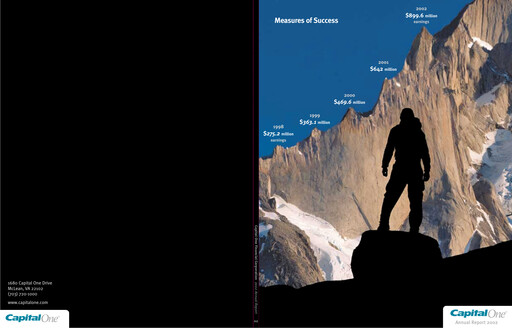 Thumbnail Capital One Annual Report 2002