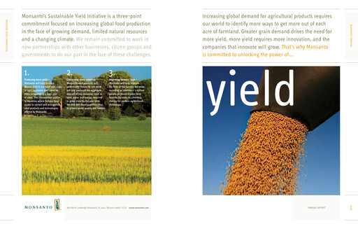 Thumbnail Monsanto Annual Report 2008