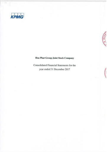 Thumbnail Hoa Phat Group Financial Statement 2017