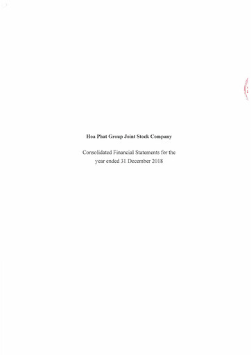 Thumbnail Hoa Phat Group Financial Statement 2018