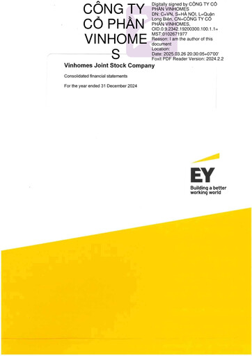 Thumbnail Vinhomes Financial Statement 2024