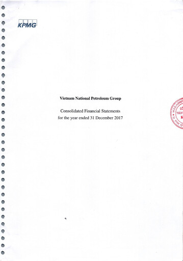 Thumbnail Vietnam National Petroleum Group Financial Statement 2017