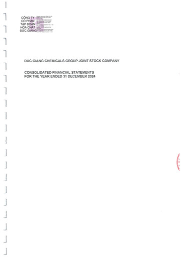 Thumbnail Duc Giang Chemicals Group Financial Statement 2024