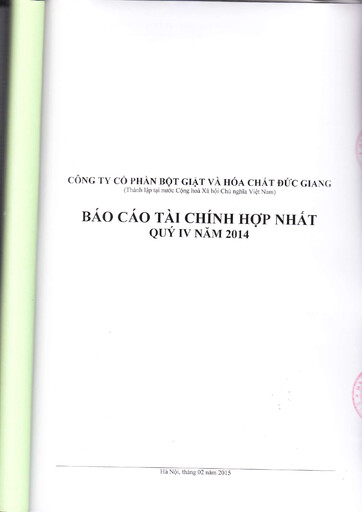 Thumbnail Duc Giang Chemicals Group Financial Statement 2014
