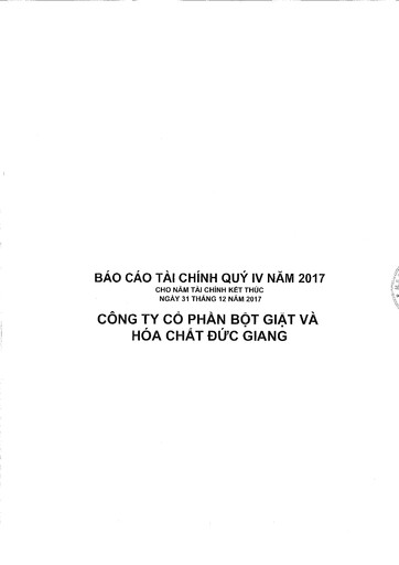 Thumbnail Duc Giang Chemicals Group Financial Statement 2017