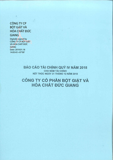 Thumbnail Duc Giang Chemicals Group Financial Statement 2018