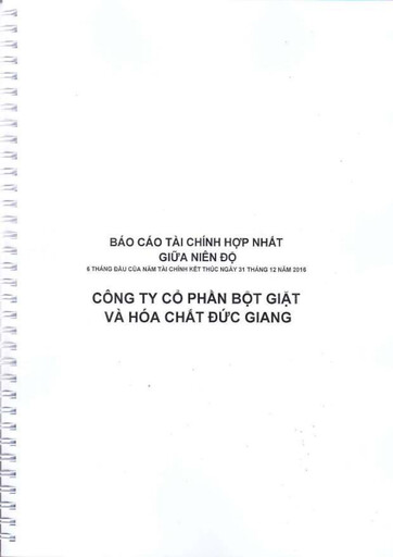 Thumbnail Duc Giang Chemicals Group Half-year Report 2016-h1