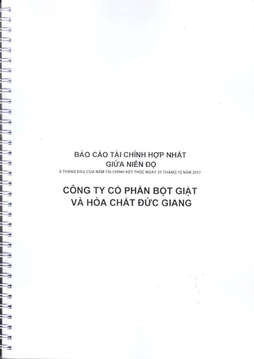 Thumbnail Duc Giang Chemicals Group Half-year Report 2017-h1