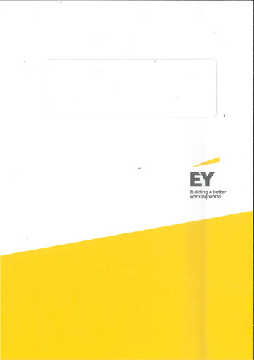 Thumbnail GELEX Group Joint Stock Company Financial Statement 2020