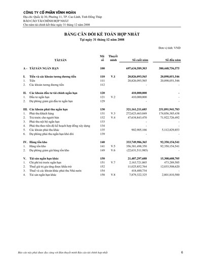 Thumbnail Vinh Hoan Corporation Financial Statement 2008