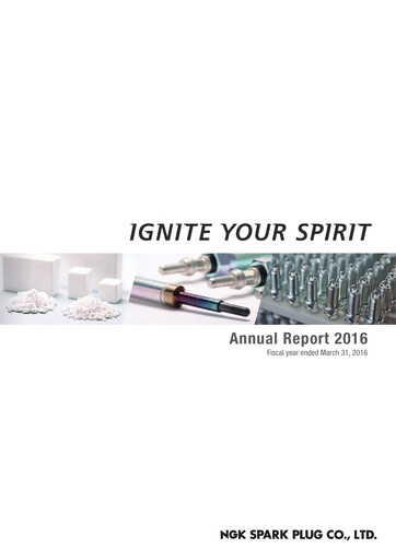 Thumbnail Niterra Annual Report 2016