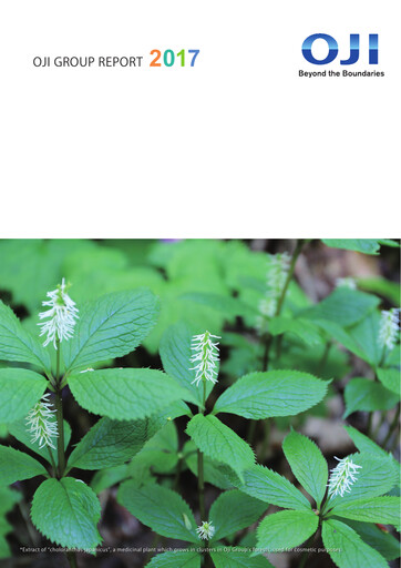 Vorschaubild Oji Holdings Jahresbericht 2017