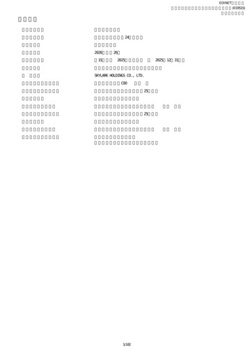 Thumbnail Skylark Holdings Financial Statement 2025